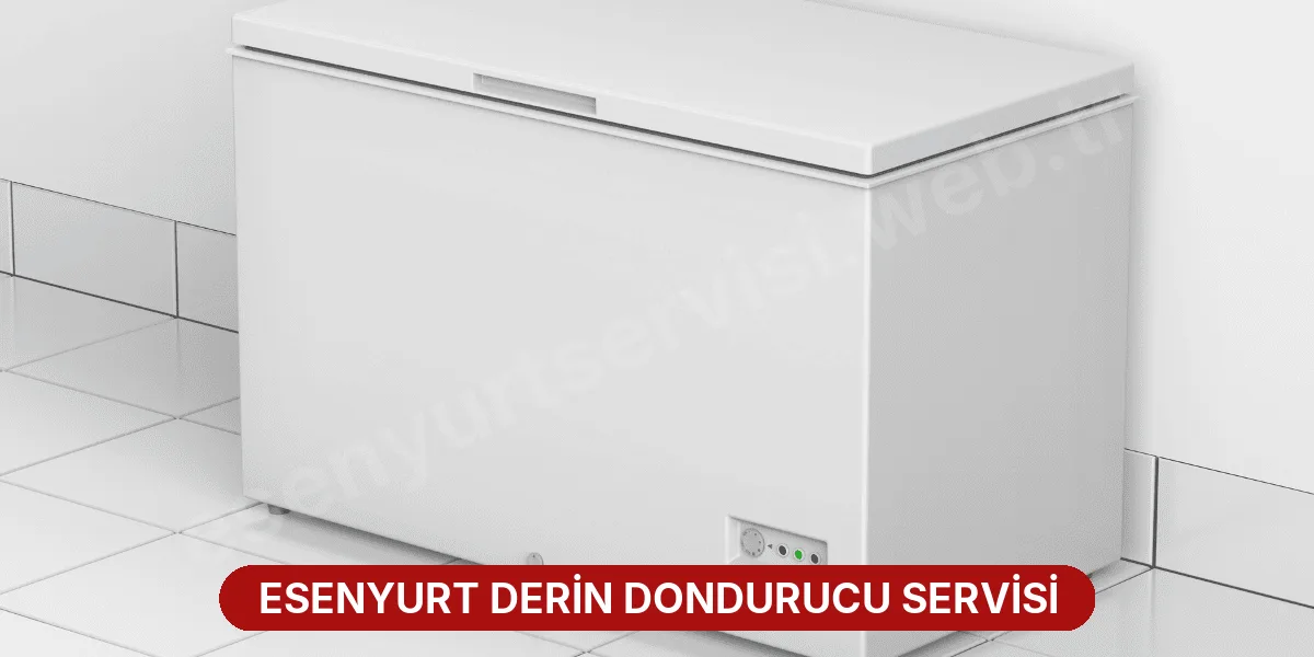 Esenyurt Derin Dondurucu Servisi