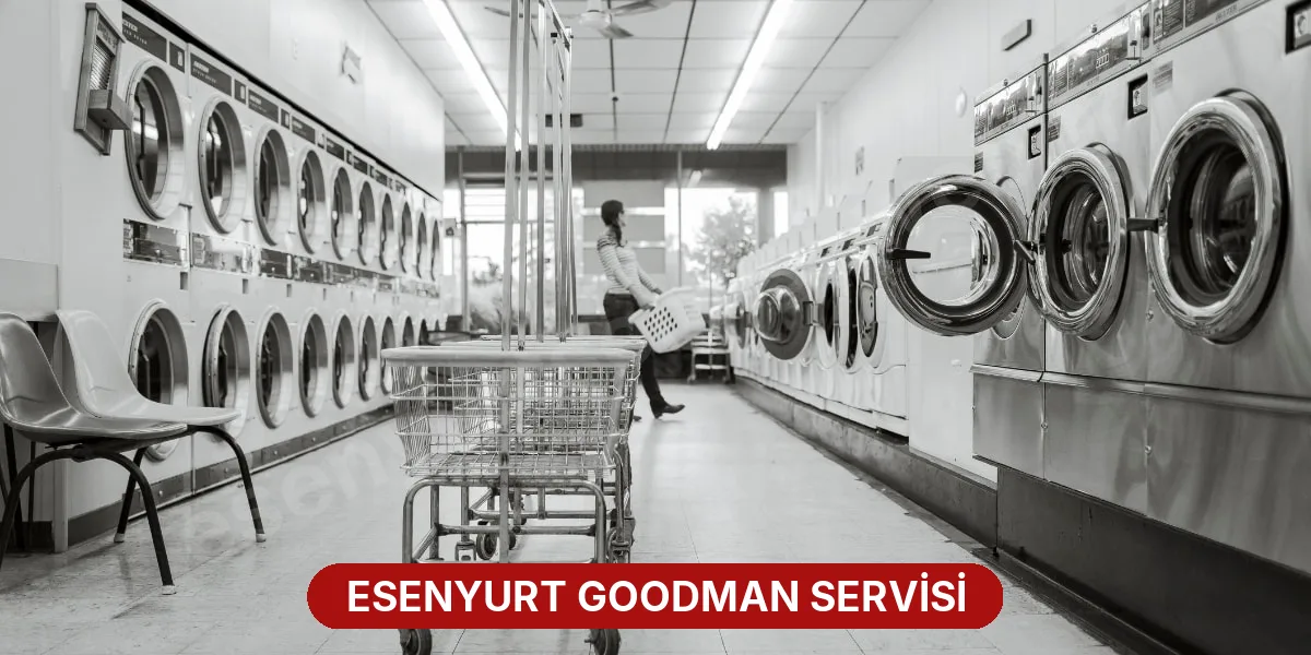 Esenyurt Goodman Servisi