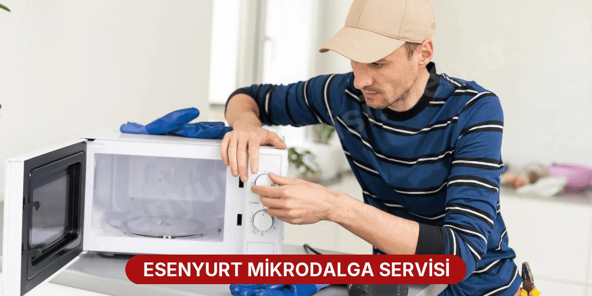 Esenyurt Mikrodalga Servisi